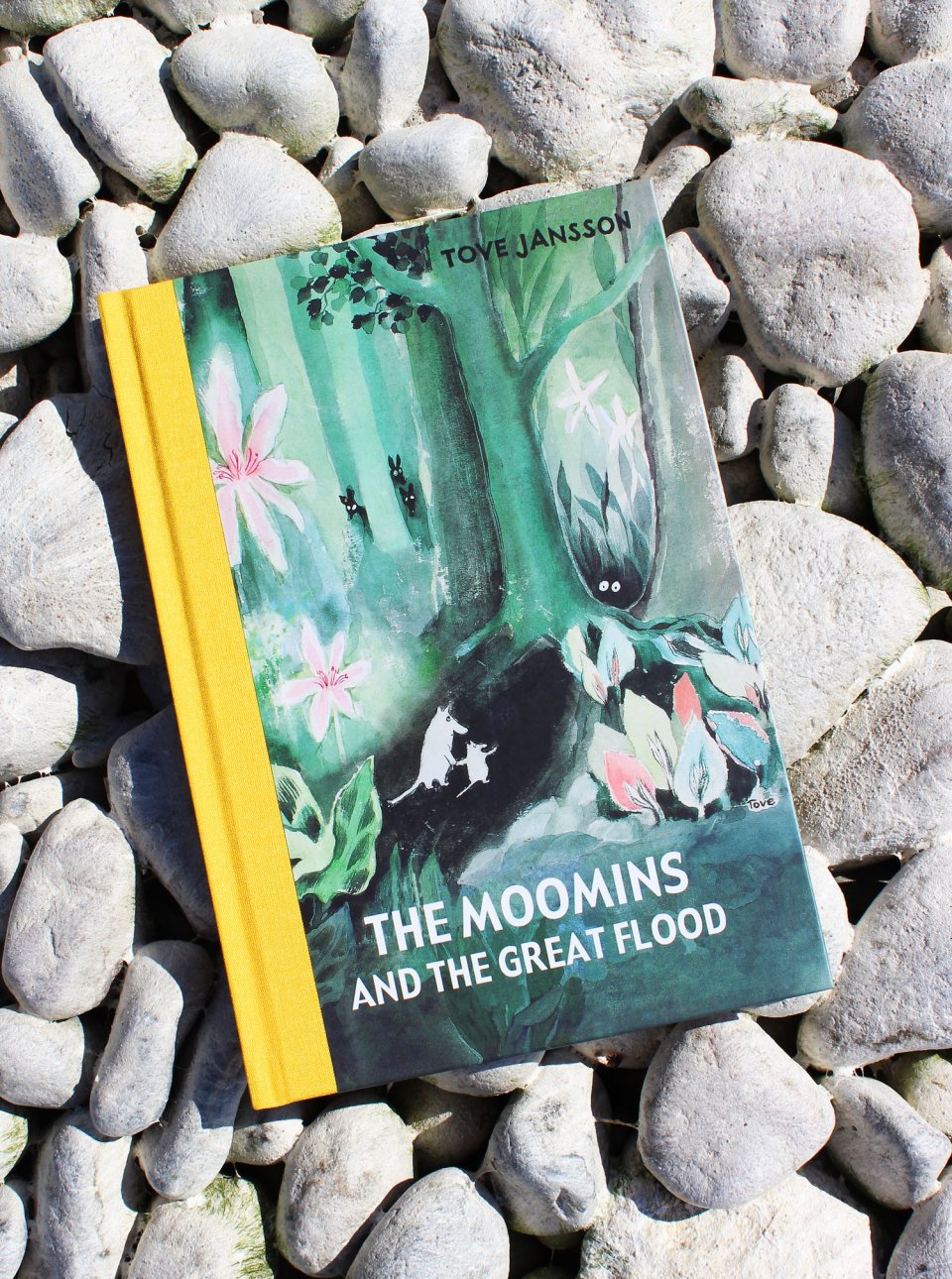 The Moomins and the great flood