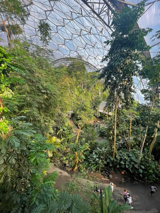 From rainforest to jungle, Moomins charmed Eden Project visitors