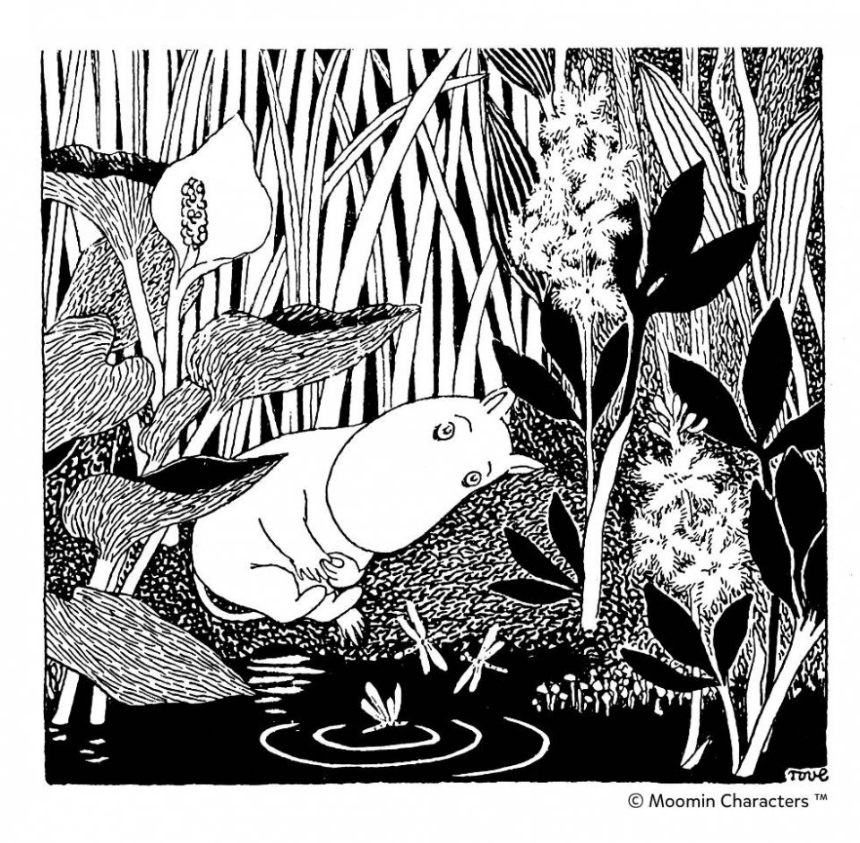 Moomin nature illustration
